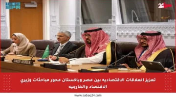 تعزيز العلاقات الاقتصادية بين مصر وباكستان محور مباحثات وزيري الاقتصاد والخارجية